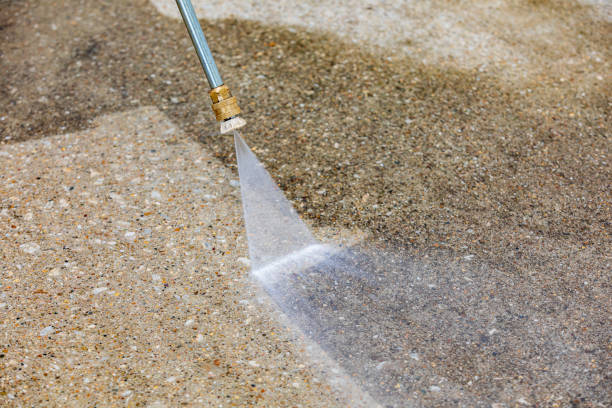 Best Pre-Holiday Cleaning  in Panther Valley, NJ