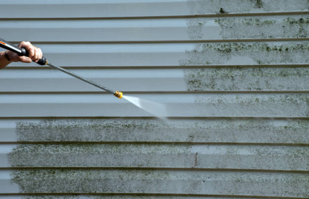 Best Patio and Deck Pressure Washing  in Panther Valley, NJ