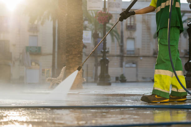 Best Soft Washing  in Panther Valley, NJ